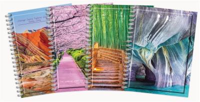 Opakowanie Kołozeszyt B5/100K kratka Globe (5szt)