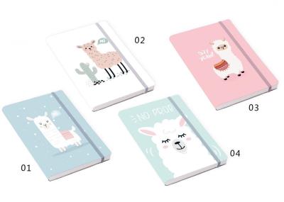 Opakowanie Notatnik A6/32K BG 620