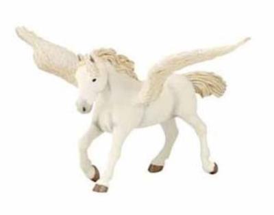 Opakowanie Pegaz czarodziejski