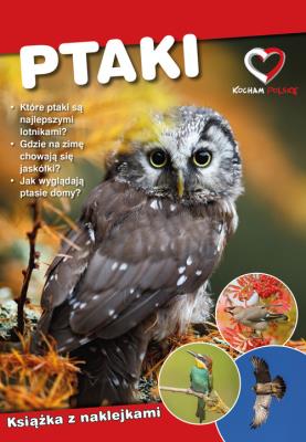 Ptaki. Ekoprzewodnik młodego odkrywcy. Autor: Paweł Zalewski. SmakLiter.pl Okładka książki Ptaki. Ekoprzewodnik młodego odkrywcy