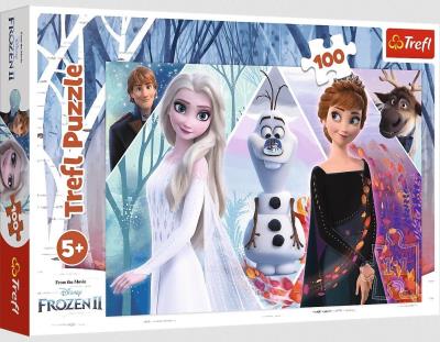 Opakowanie Puzzle 100 Zaczarowana Kraina TREFL