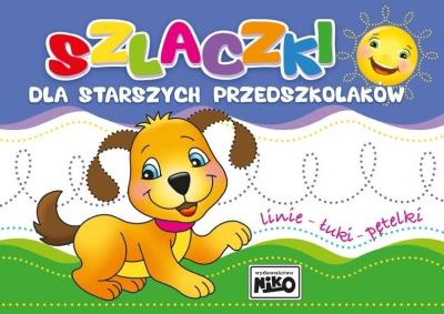 Okładka książki Szlaczki dla starszych przedszkolaków