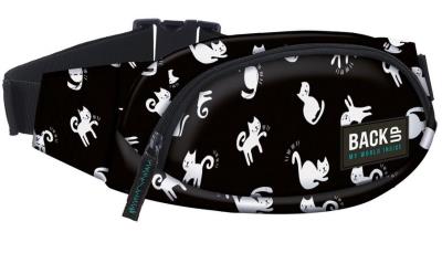 Opakowanie Torba na biodra S34 BackUp DERFORM