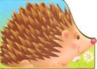 Okładka książki Wykrojnik - Jeż FK