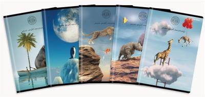 Opakowanie Zeszyt A5/32K kratka Amazing (10szt)