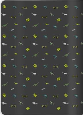 Opakowanie Zeszyt A5/32K kratka Dino (10szt)