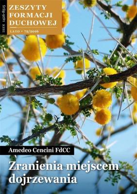 Zeszyty Formacji Duchowej nr 72 Zranienia miejscem. Autor: Amedeo Cencini FdCC. SmakLiter.pl Okładka książki Zeszyty Formacji Duchowej nr 72 Zranienia miejscem