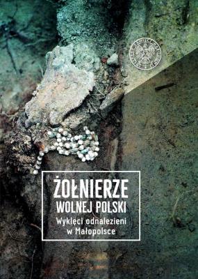 Okładka książki Żołnierze wolnej Polski