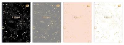 Opakowanie Brulion A4/96K kratka Metallic Dreams (5szt)