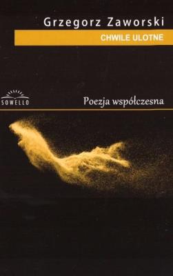 Chwile ulotne. Autor: Grzegorz Zaworski. SmakLiter.pl Okładka książki Chwile ulotne