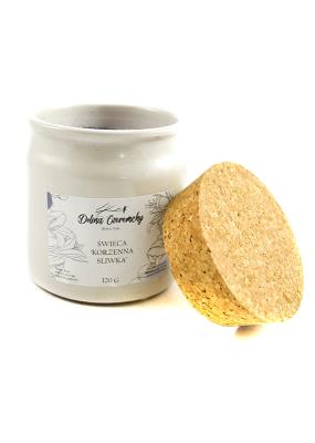 Dolina Czeremchy Świeca korzenna śliwka 110g. Producent: Dolina Czeremchy. SmakLiter.pl Zdjęcie produktu Dolina Czeremchy Świeca korzenna śliwka 110g