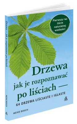 Drzewa Jak je rozpoznawać po liściach. Autor: Meike Bosch. SmakLiter.pl Okładka książki Drzewa Jak je rozpoznawać po liściach