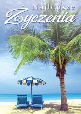 Opakowanie Karnet B6 3DV-150 Najlepsze życzenia, palma