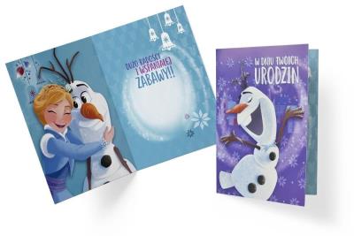 Opakowanie Karnet B6 DS-014 Kraina Lodu