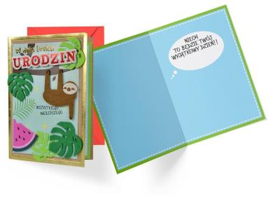 Opakowanie Karnet B6 FR-015 Urodziny leniwiec