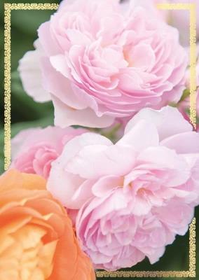 Opakowanie Karnet B6 PP-2147 Kwiaty (bez tekstu)