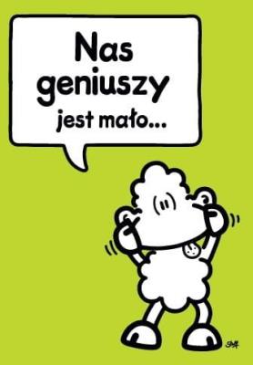 Opakowanie Karnet B6 Sheepworld 00003 Urodziny, geniusze