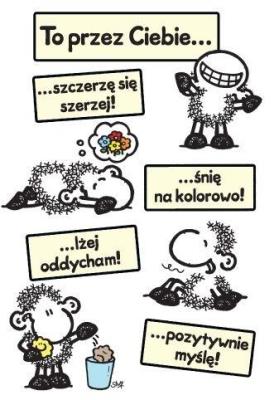 Opakowanie Karnet B6 Sheepworld 55397 Dziękuję