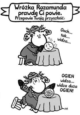 Opakowanie Karnet B6 Sheepworld 55399 Urodziny