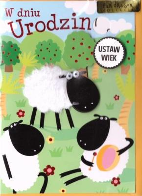 Opakowanie Karnet B6 Urodziny (wymienne cyf.) HM-200-834