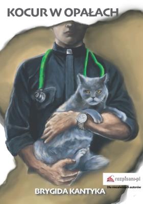 Okładka książki Kocur w opałach