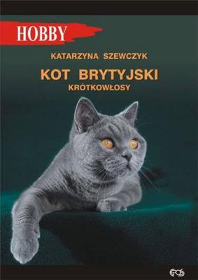 Kot brytyjski krótkowłosy. Autor: Katarzyna Szewczyk. SmakLiter.pl Okładka książki Kot brytyjski krótkowłosy
