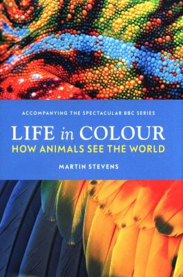 Life in Colour. Autor: Stevens Martin. SmakLiter.pl Okładka książki Life in Colour