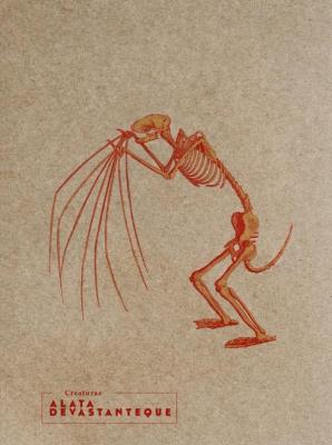 Opakowanie Notes Alata Devastanteque