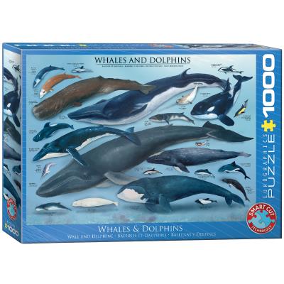 Opakowanie Puzzle 1000 Wieloryby i delfiny 6000-0082