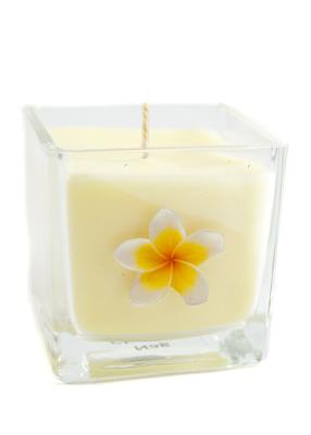 Świeca z wosku rzepakowego nag champa . SmakLiter.pl Zdjęcie produktu Świeca z wosku rzepakowego nag champa