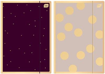 Opakowanie Teczka z gunmką A4+ Satin Gold 3 (10szt)