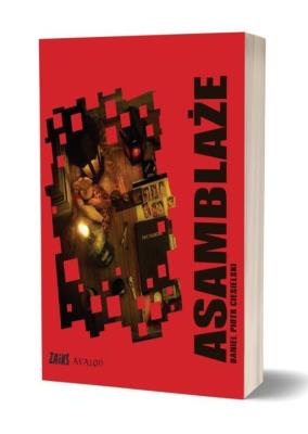 Okładka książki Asamblaże