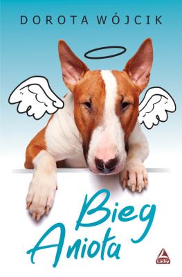 Bieg anioła. Autor: Świtała-Wójcik Dorota. SmakLiter.pl Okładka książki Bieg anioła