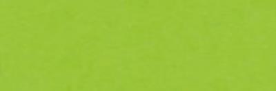 Opakowanie Brystol kolorowy Happy Color 170g A3 25 arkuszy jasnozielony