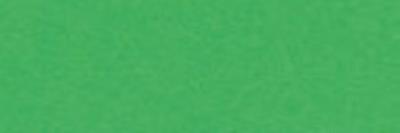 Opakowanie Brystol kolorowy Happy Color 170g A3 25 arkuszy zielony