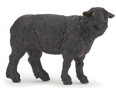 Opakowanie Czarna owca