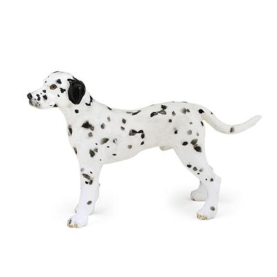 Opakowanie Dalmatyńczyk