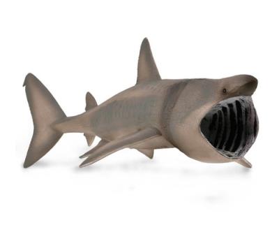 Długoszpar XL. Wydawca: Collecta. SmakLiter.pl Opakowanie Długoszpar XL