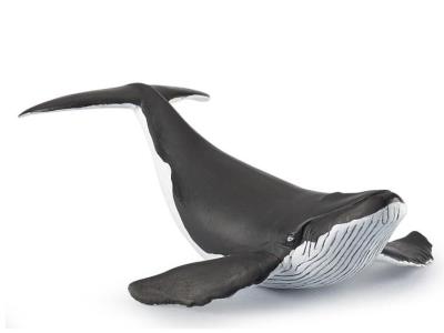 Opakowanie Humbak młody