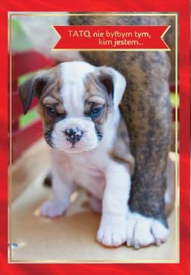 Opakowanie Karnet B6 PR-221 Tata