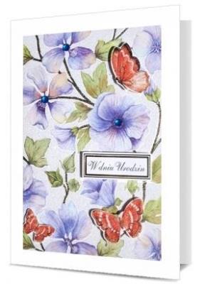 Opakowanie Karnet B6 Urodziny HM200-2256