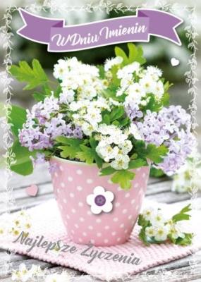 Opakowanie Karnet Imieniny GM-724