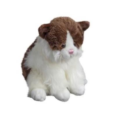 Opakowanie Kot Tusse brązowy 24cm MOLLI TOYS