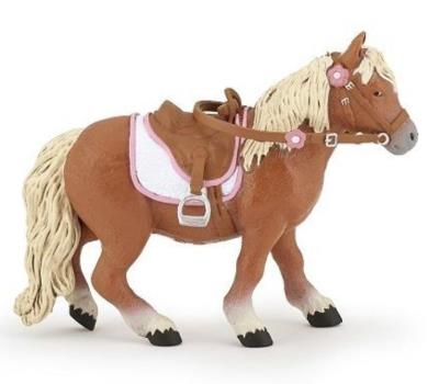 Opakowanie Kuc Shetlandzki osiodłany