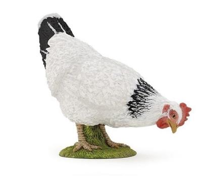 Opakowanie Kura biała dziobiąca