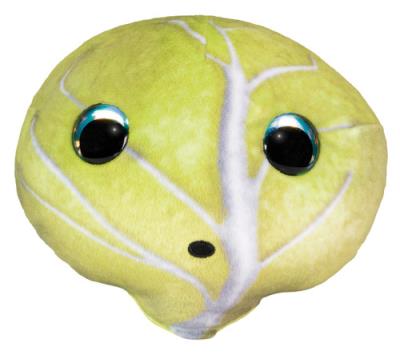 Opakowanie Lumo Stars Veggies and Berries Cabbage Teikku