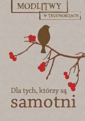 Okładka książki Modlitwy w trudnościach. Dla tych, którzy są...