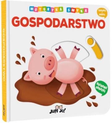 Motoryka Smyka. Gospodarstwo. Autor: Opracowanie zbiorowe. SmakLiter.pl Okładka książki Motoryka Smyka. Gospodarstwo