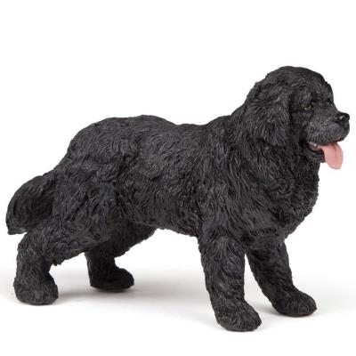 Opakowanie Nowofundland