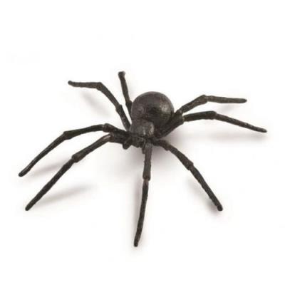 Pająk Czarna wdowa. Wydawca: Collecta. SmakLiter.pl Opakowanie Pająk Czarna wdowa